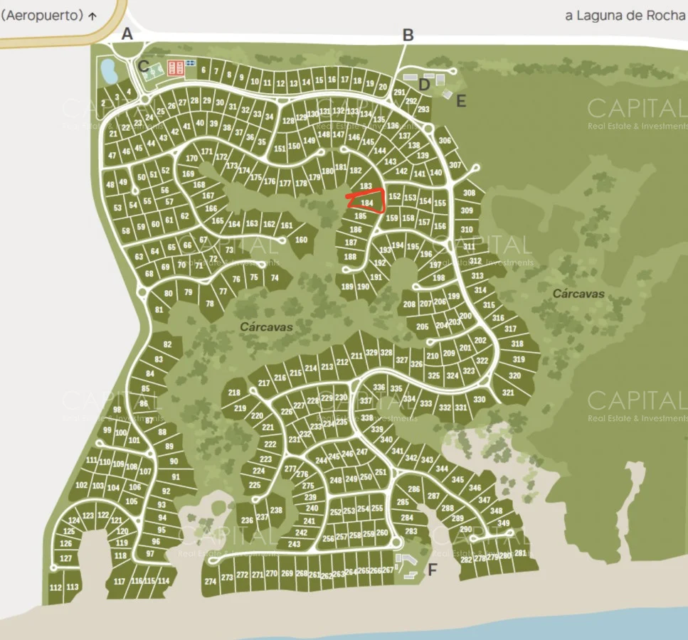 Terreno en Las Garzas, propiedad 278708 -Imagen 5