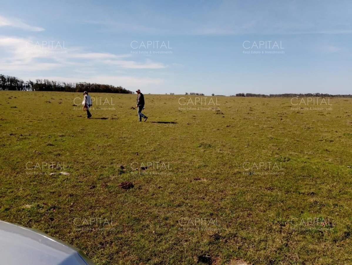 Terreno en Las Garzas, propiedad 278713 -Imagen 4