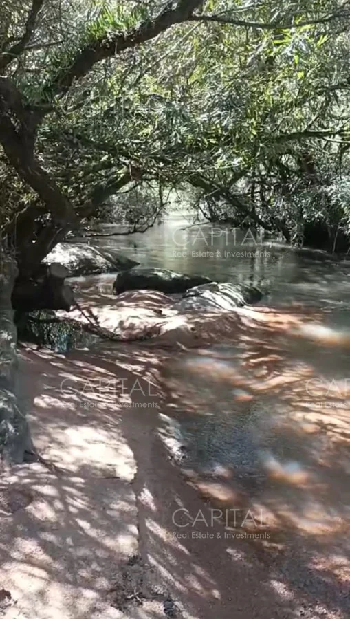 Chacra en San Carlos, propiedad 278717 -Imagen 2