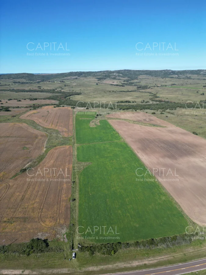 Chacra en San Carlos, propiedad 278717 -Imagen 3
