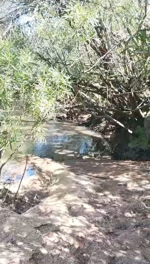 Chacra en San Carlos, propiedad 278717 -Imagen 4