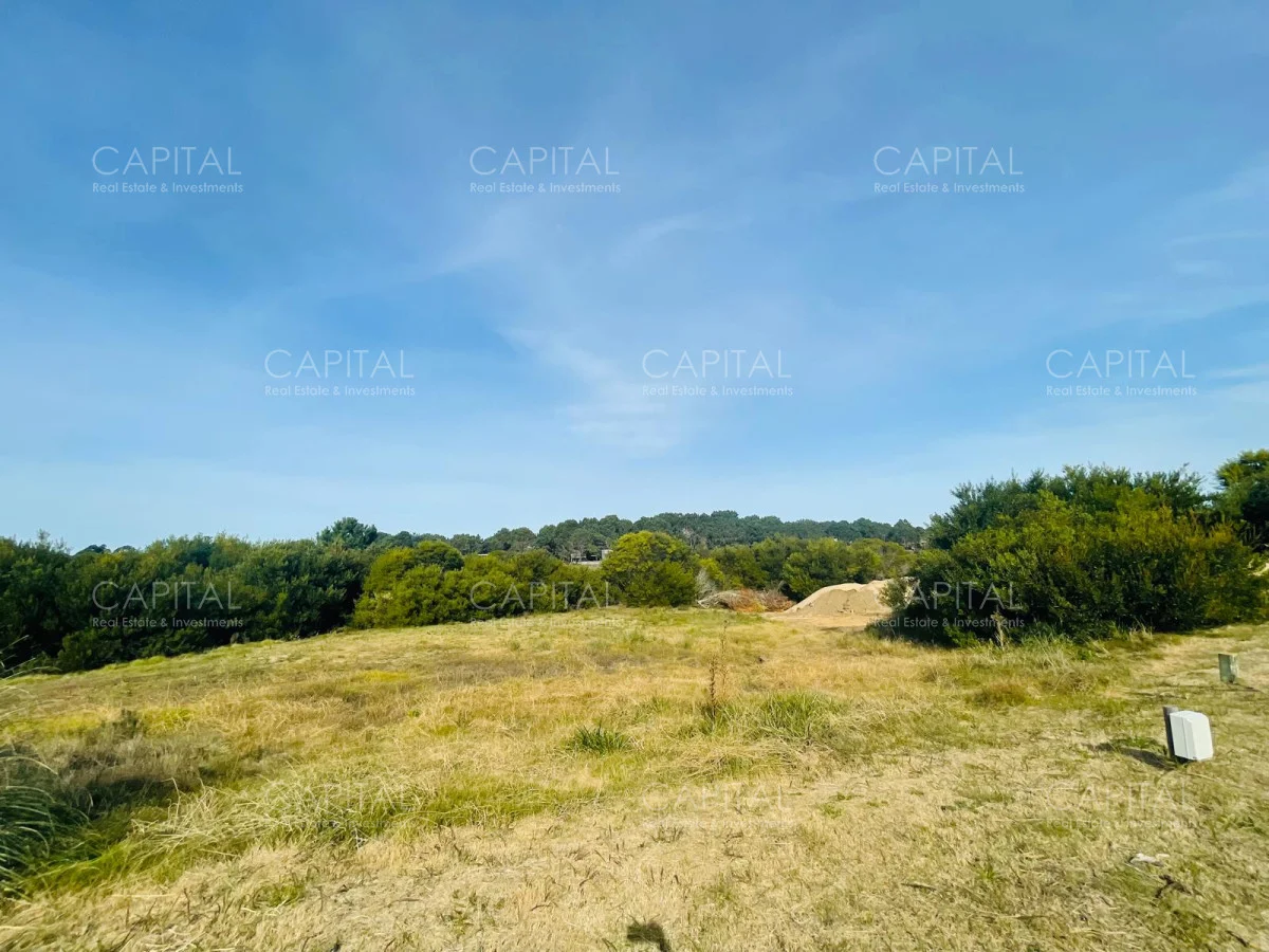 Terreno en José Ignacio, propiedad 278740 -Imagen 4