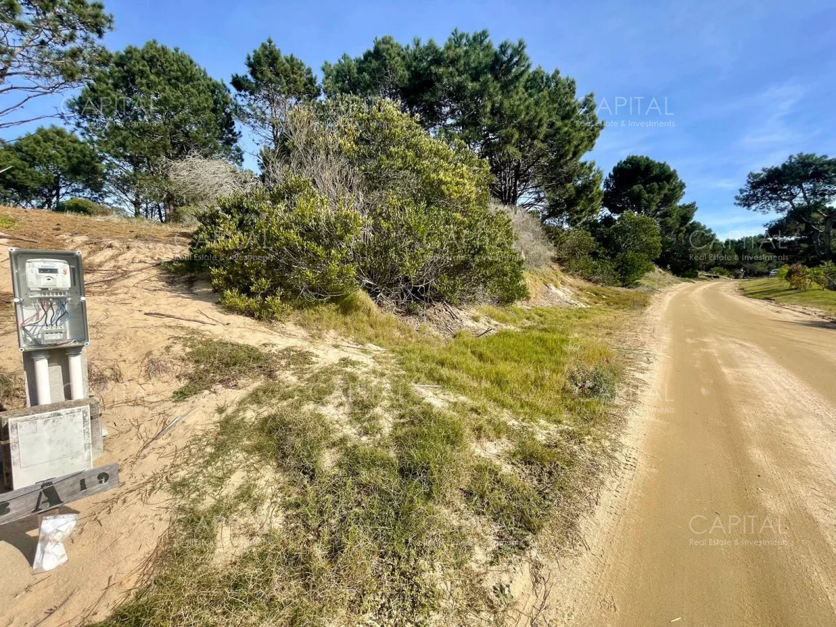 Terreno en José Ignacio, propiedad 278741 -Imagen 3