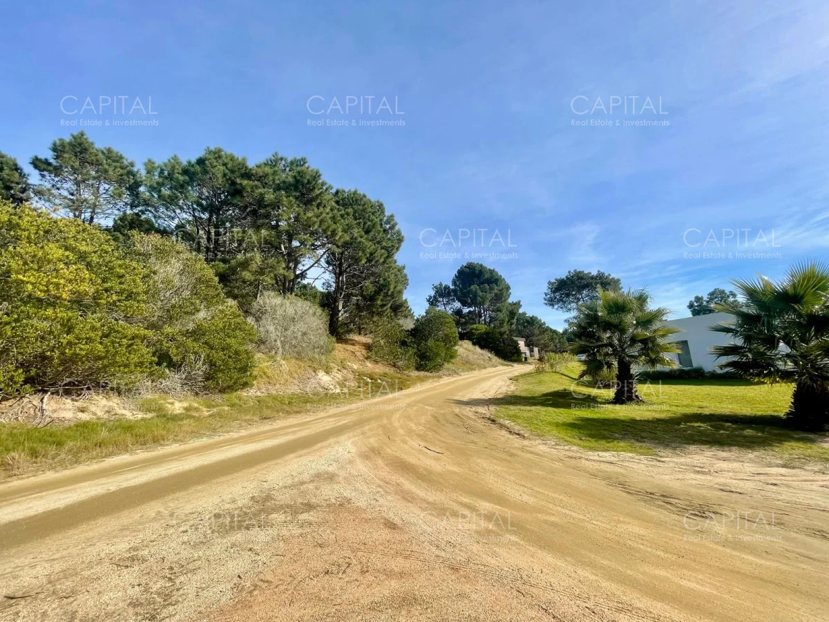 Terreno en José Ignacio, propiedad 278741 -Imagen 4