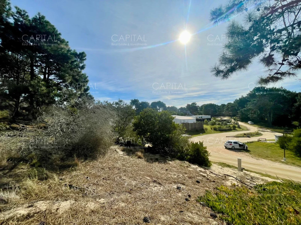 Terreno en José Ignacio, propiedad 278741 -Imagen 5