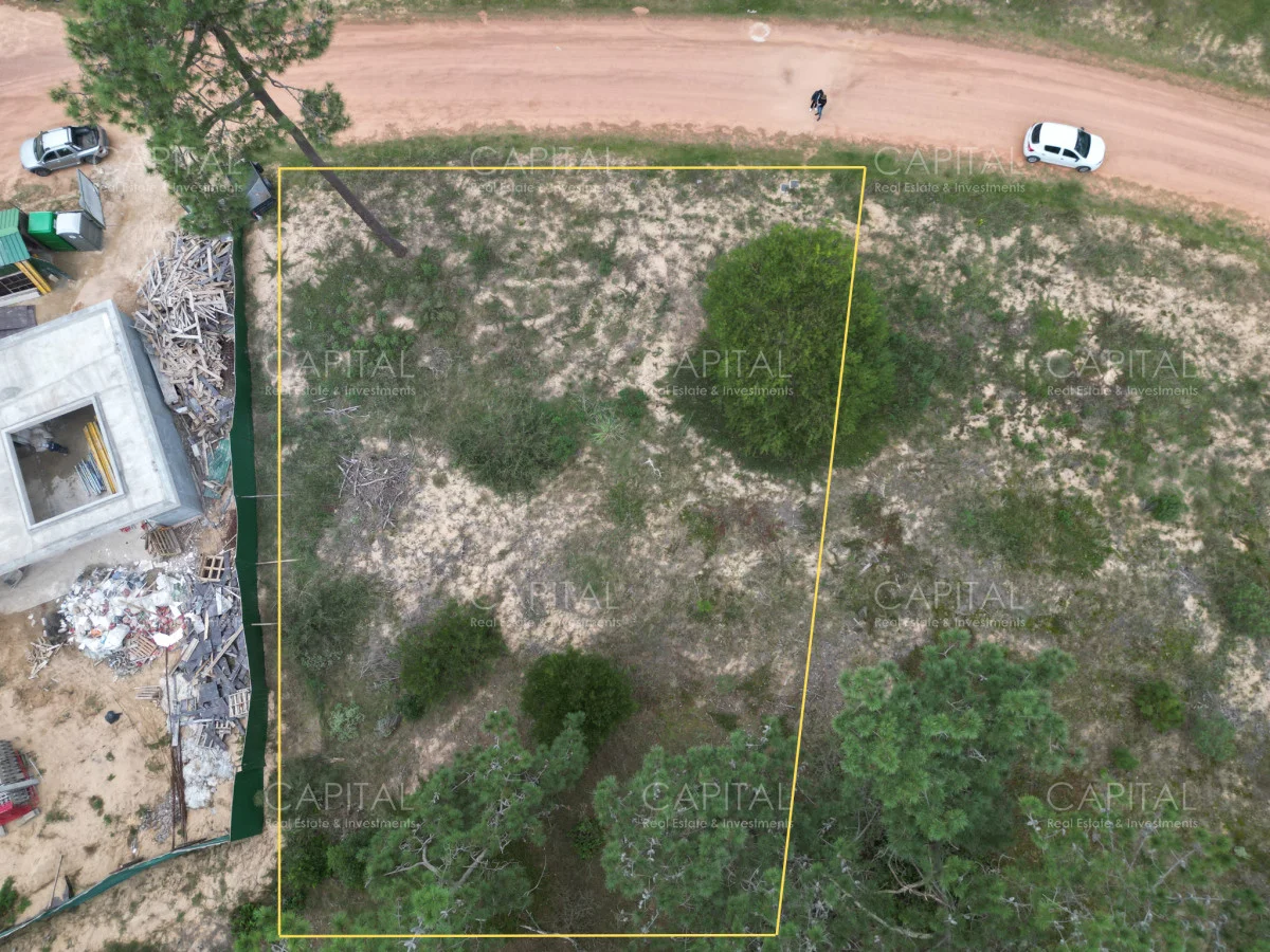 Terreno en Montoya, propiedad 278743 -Imagen 1