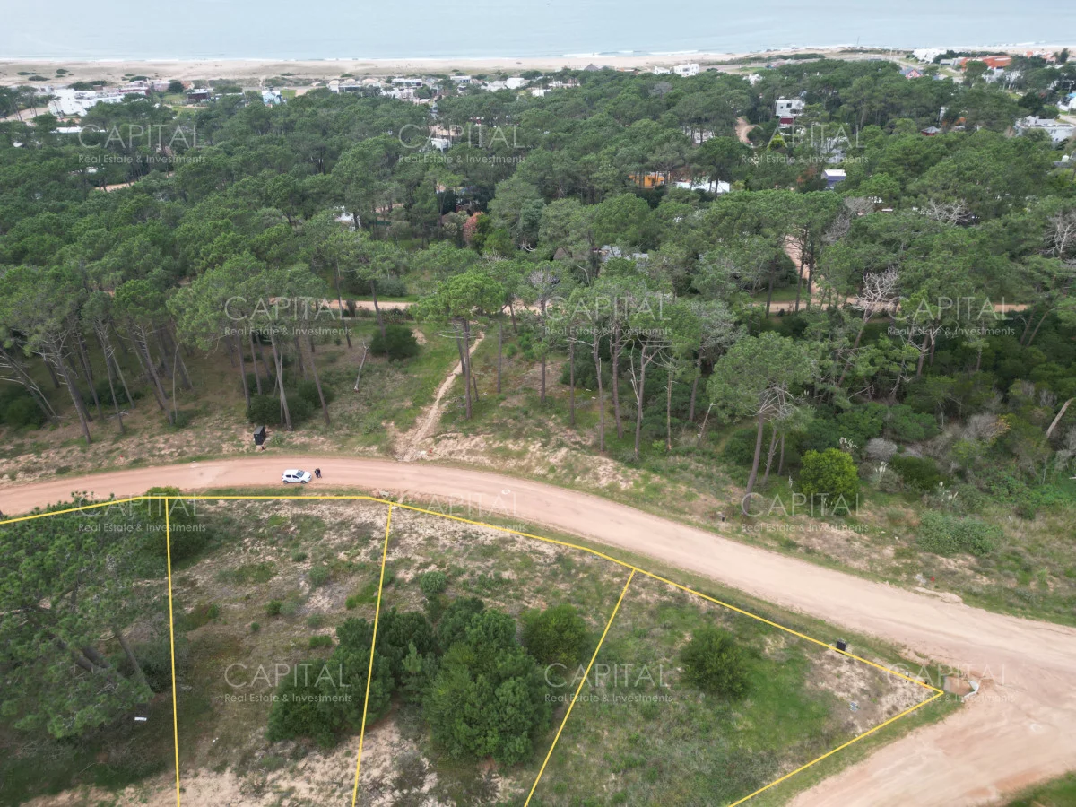 Terreno en Montoya, propiedad 278743 -Imagen 2
