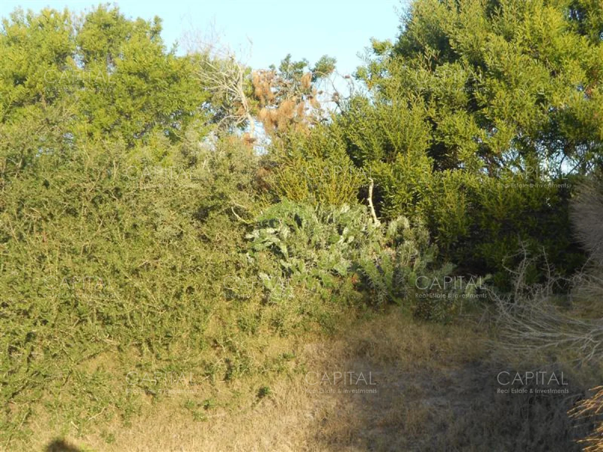 Terreno en La Juanita, propiedad 278749 -Imagen 4