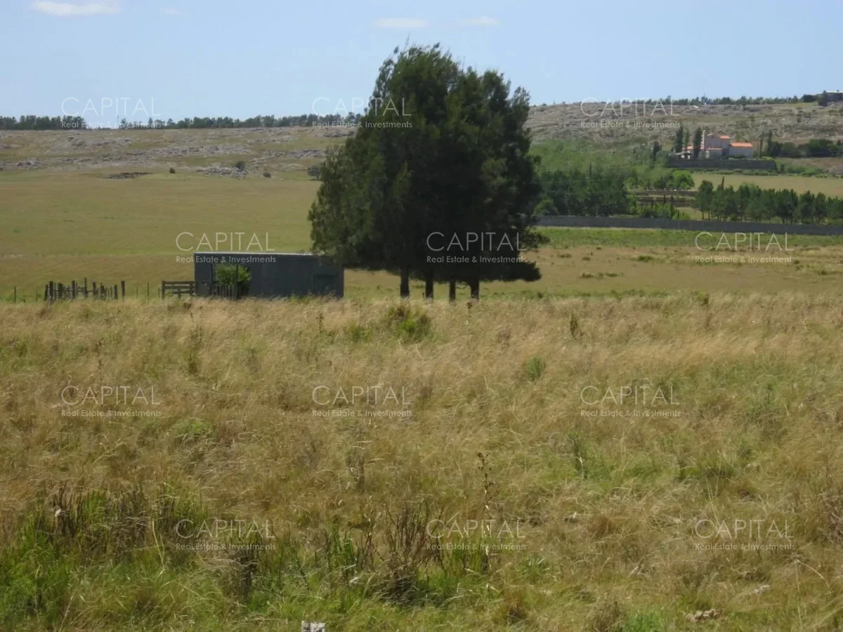 Chacra en La Barra, propiedad 278811 -Imagen 4