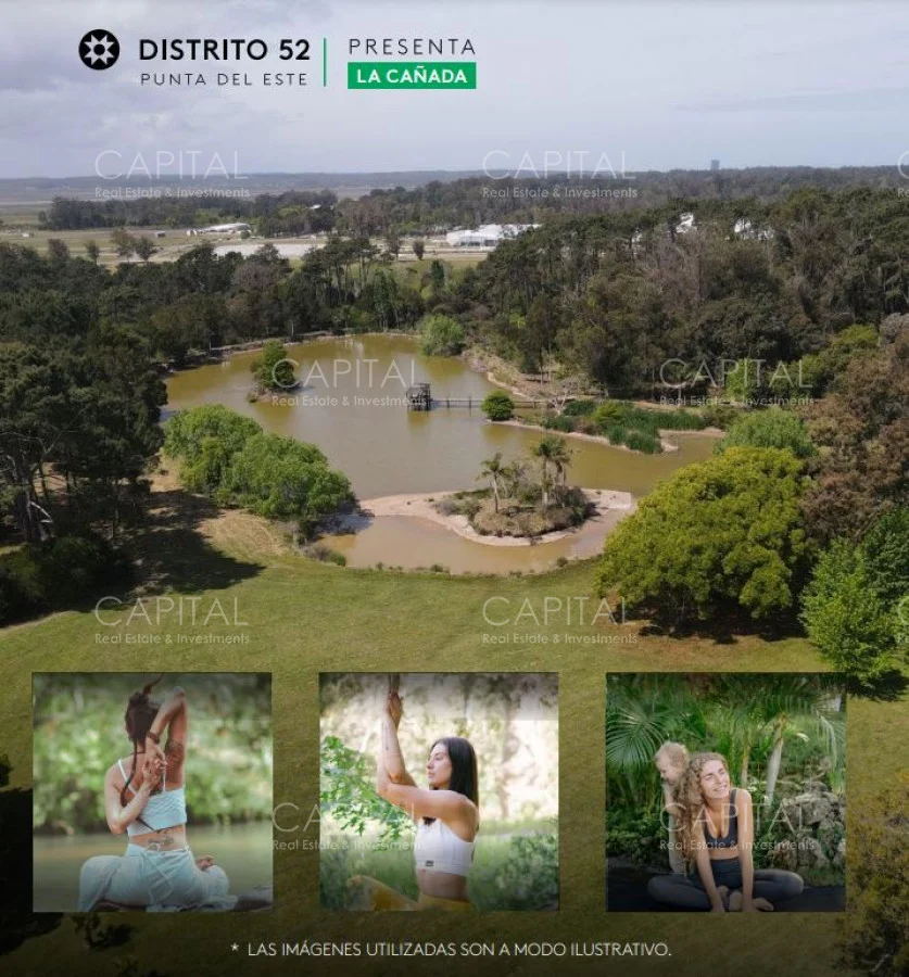 Terreno en Punta del Este, propiedad 278821 -Imagen 6