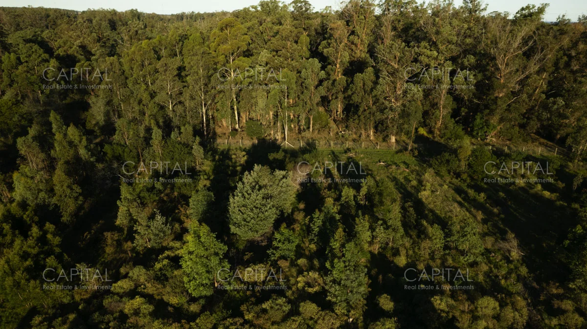 Terreno en Eden Rock, propiedad 278867 -Imagen 4