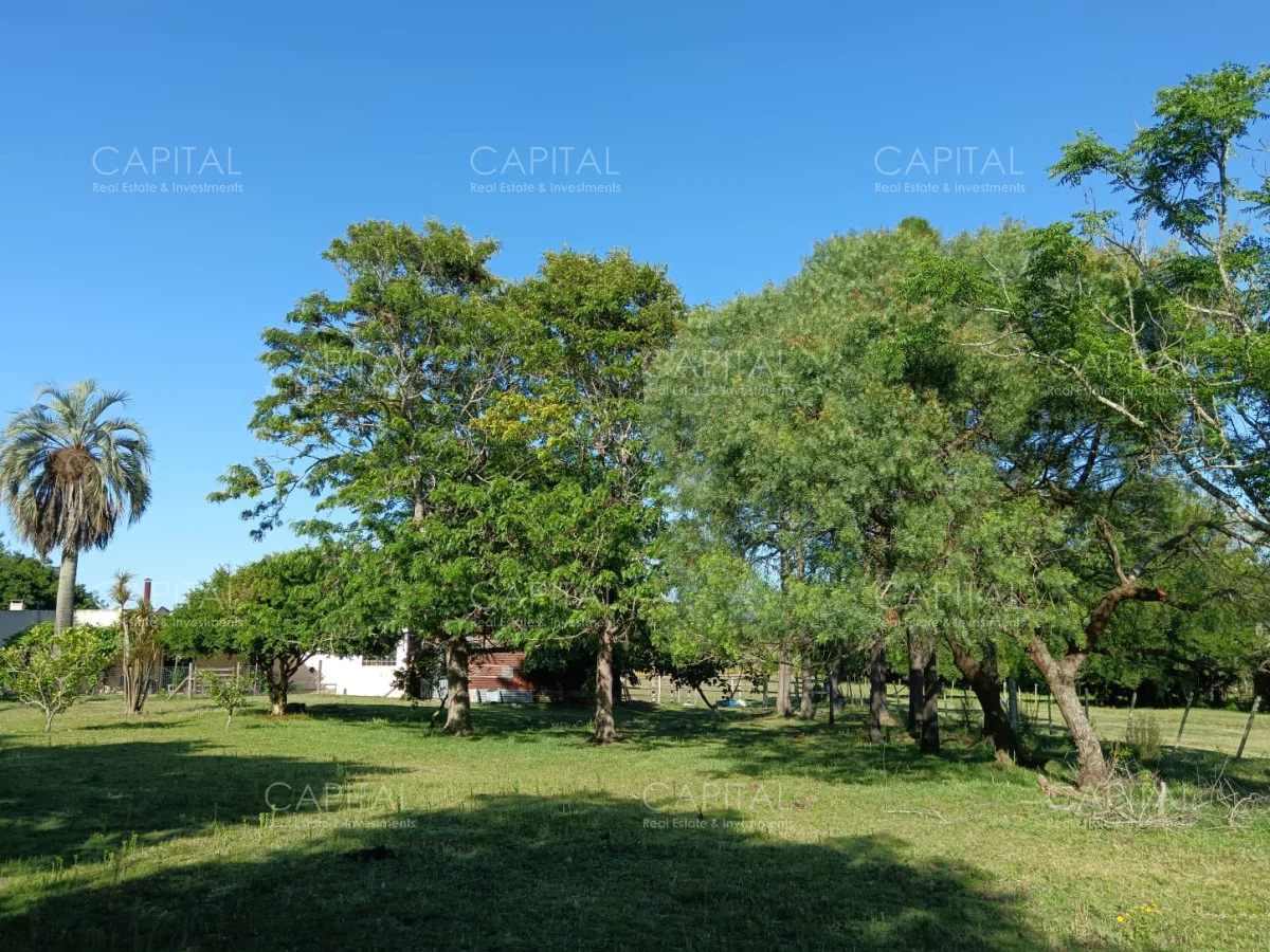 Chacra en Maldonado, propiedad 278898 -Imagen 11