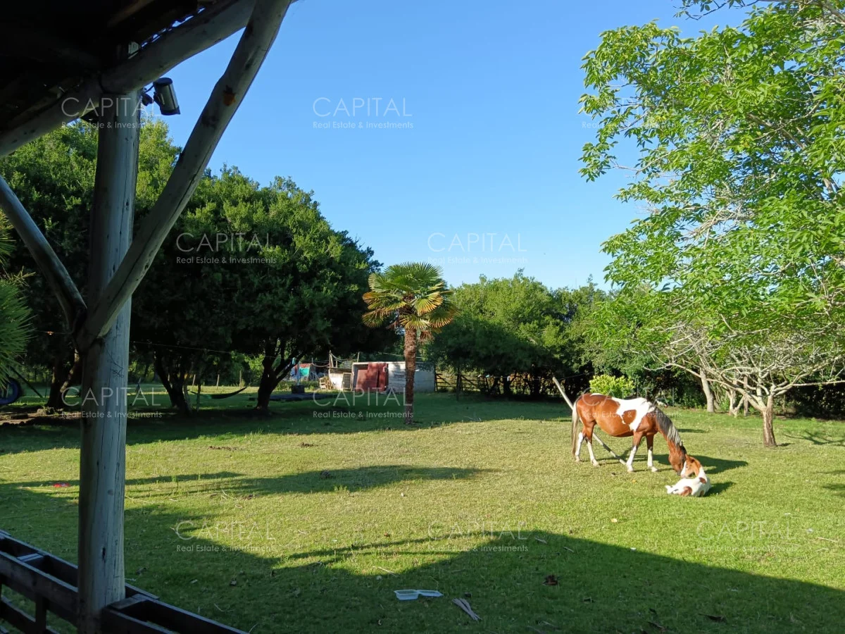 Chacra en Maldonado, propiedad 278898 -Imagen 13