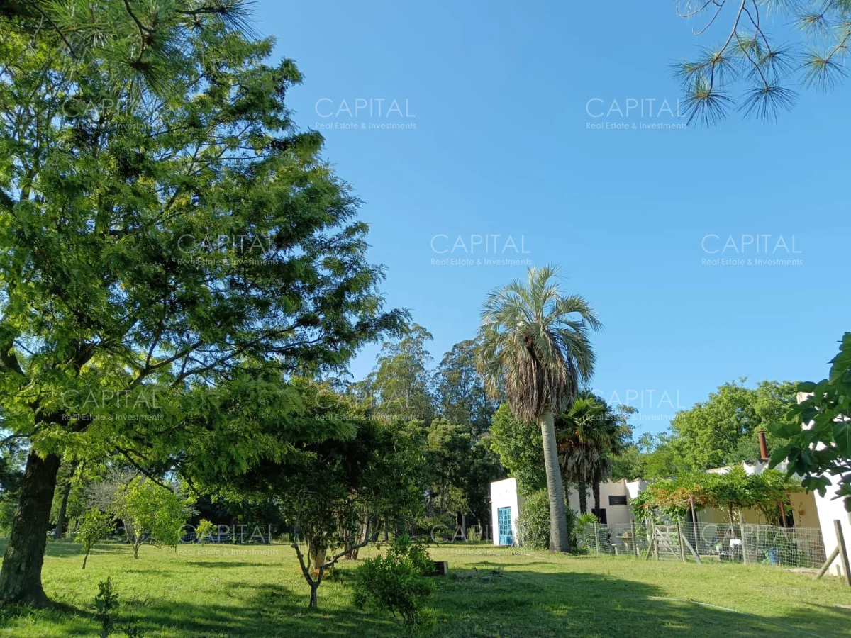 Chacra en Maldonado, propiedad 278898 -Imagen 14
