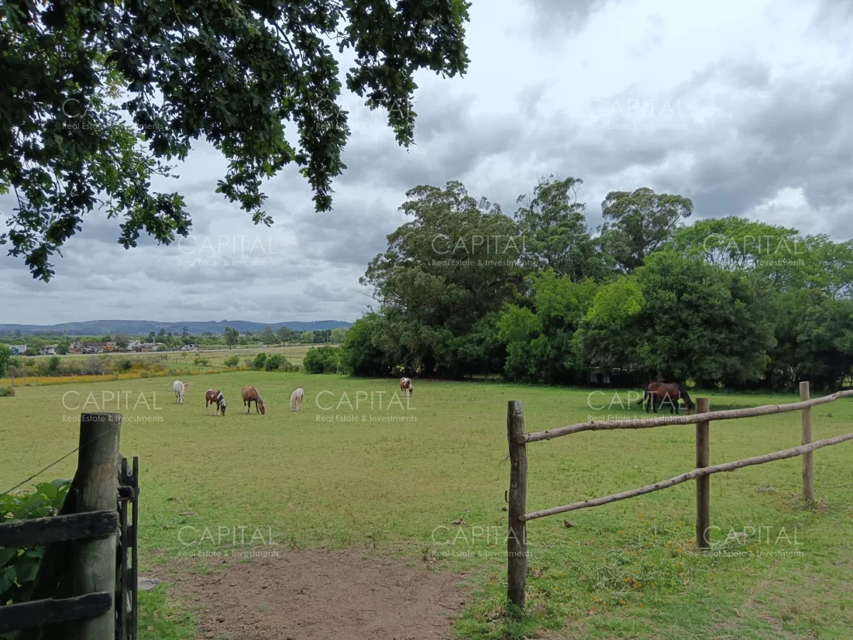 Chacra en Maldonado, propiedad 278898 -Imagen 6
