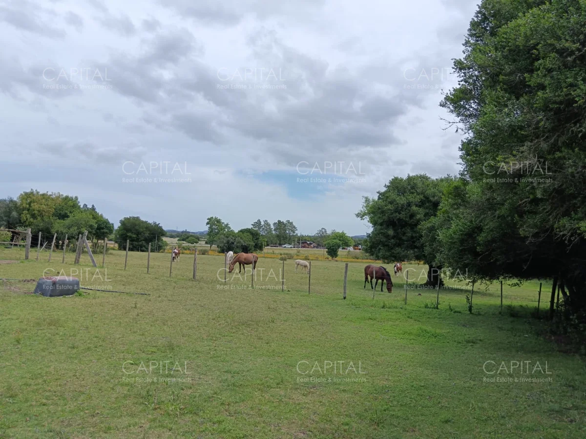Chacra en Maldonado, propiedad 278898 -Imagen 8