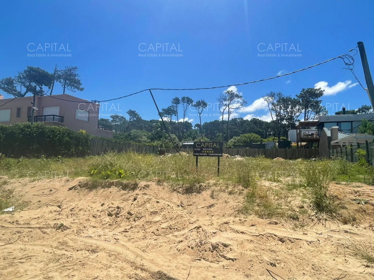 Terreno en Montoya, propiedad 278957 -Imagen 4