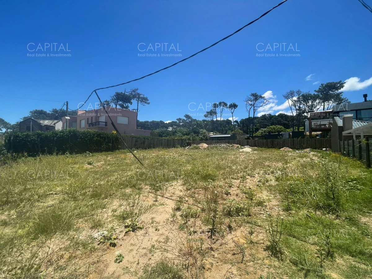 Terreno en Montoya, propiedad 278957 -Imagen 5