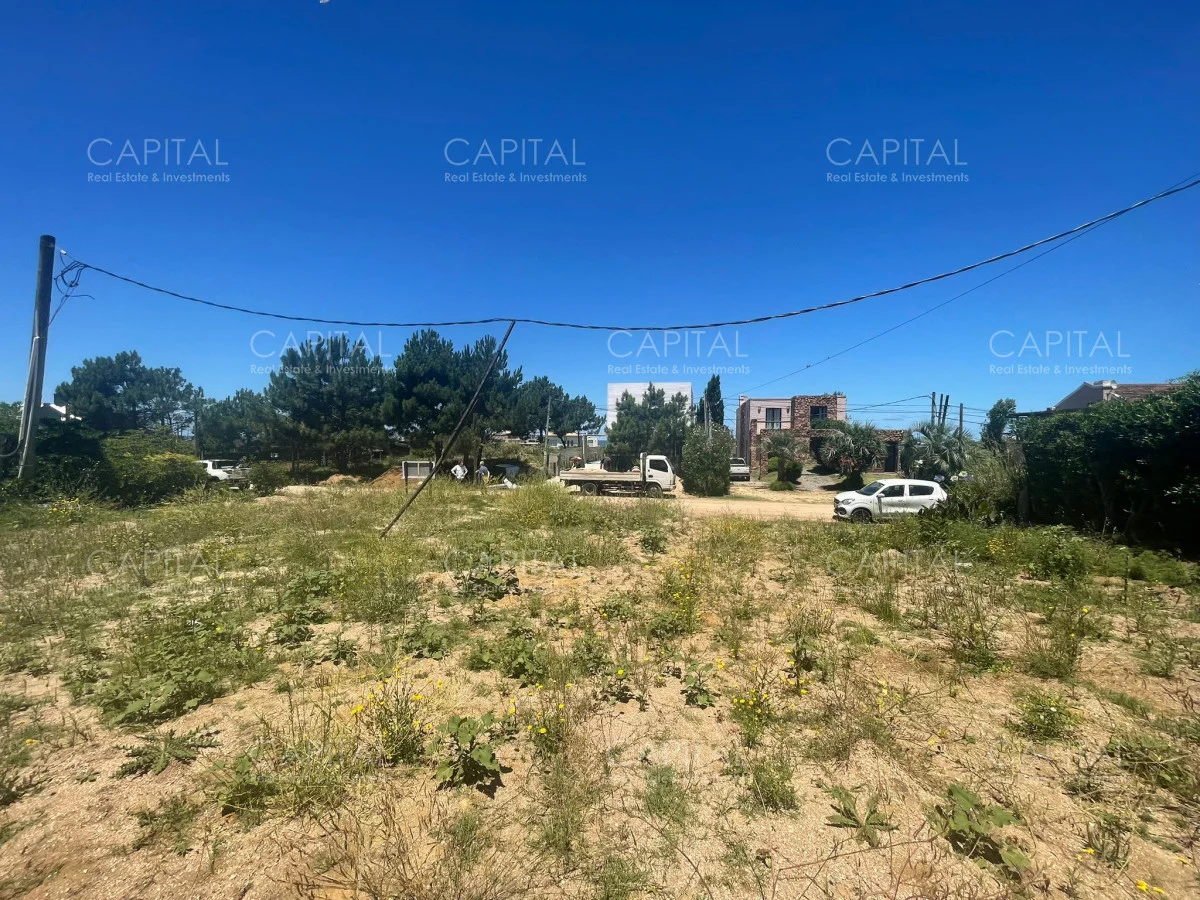 Terreno en Montoya, propiedad 278957 -Imagen 6