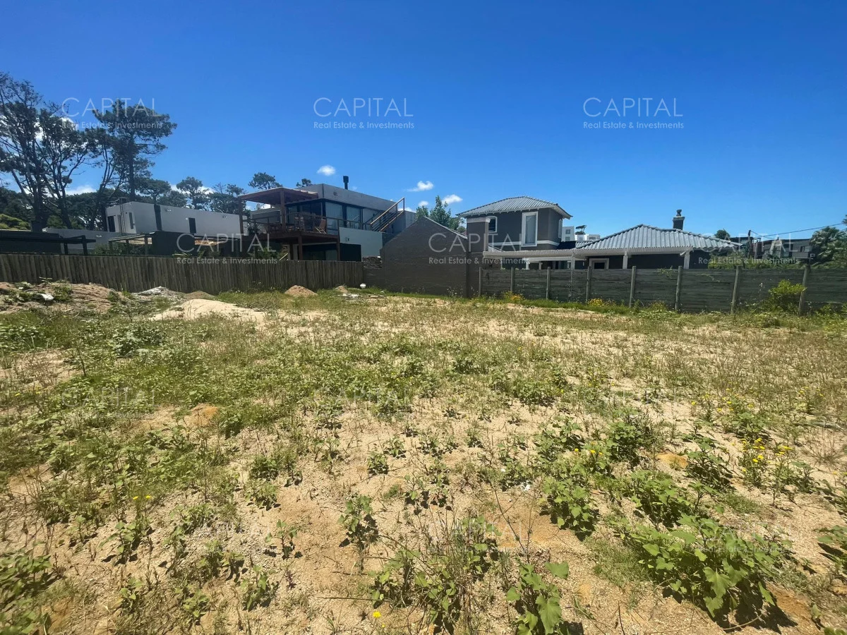 Terreno en Montoya, propiedad 278957 -Imagen 8