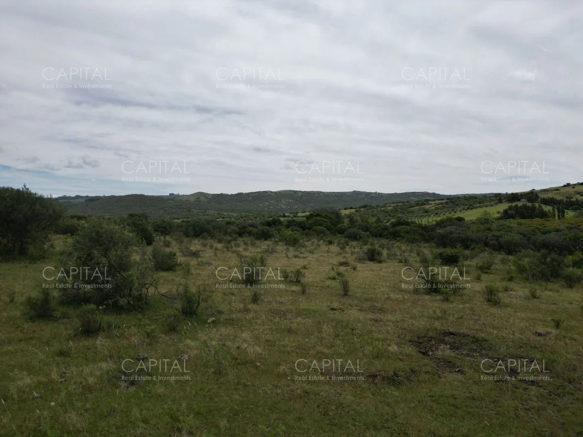 Chacra en Pueblo Eden, propiedad 278961 -Imagen 16