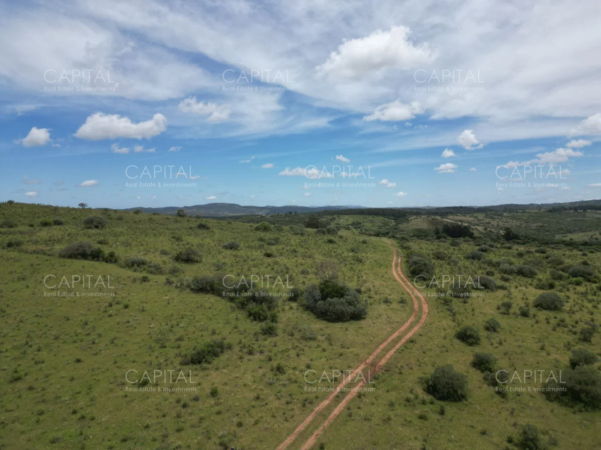 Chacra en Pueblo Eden, propiedad 278961 -Imagen 3
