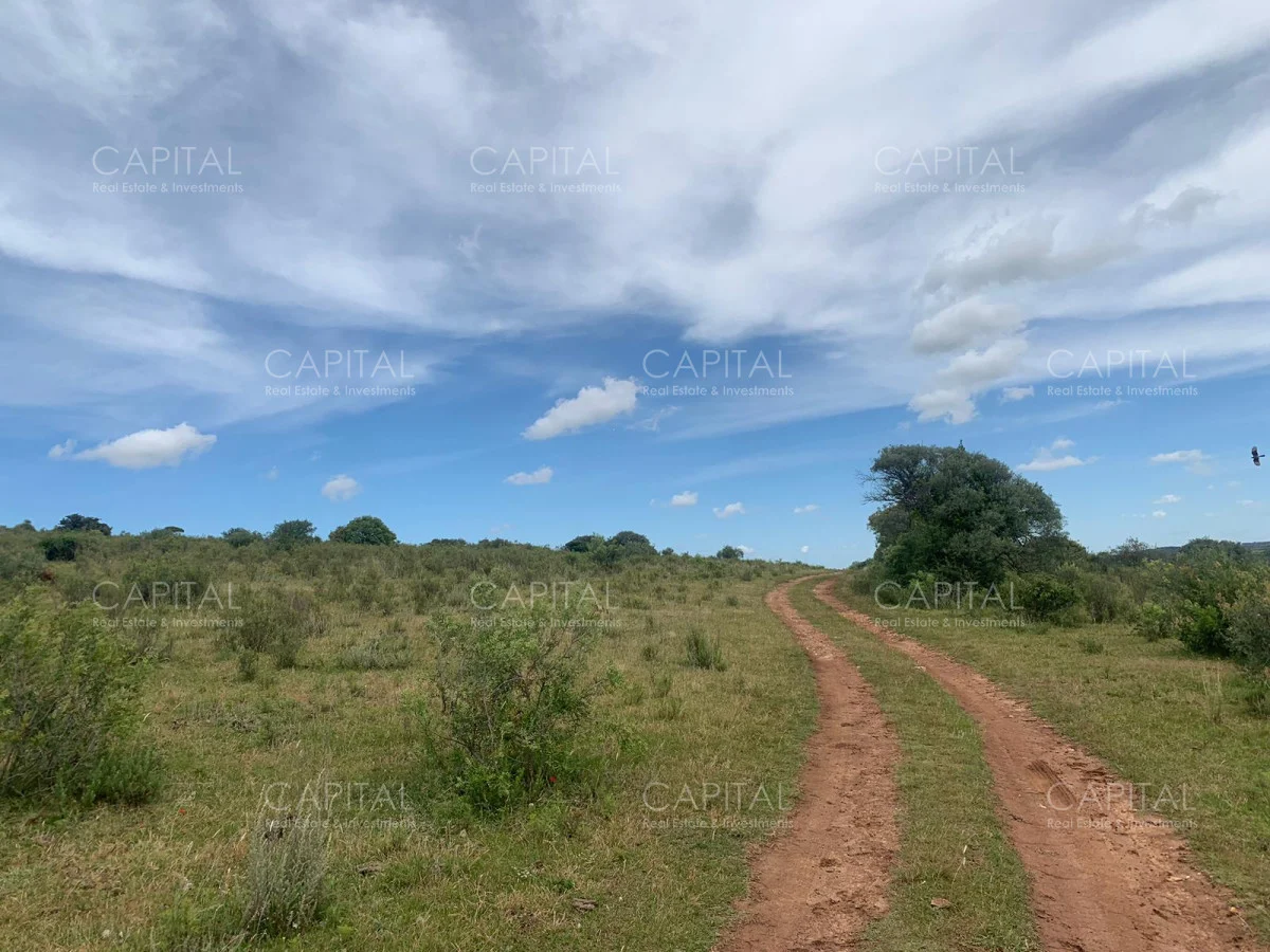 Chacra en Pueblo Eden, propiedad 278961 -Imagen 5