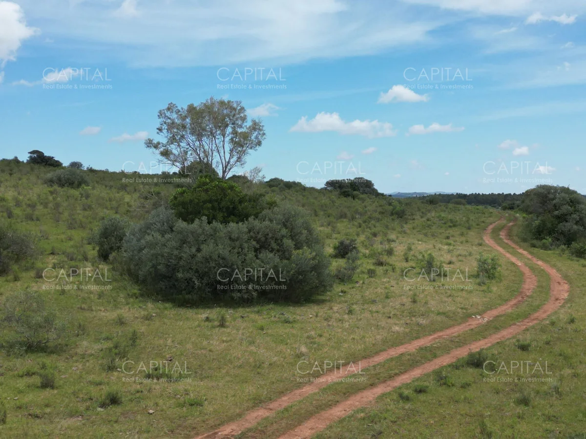 Chacra en Pueblo Eden, propiedad 278961 -Imagen 7