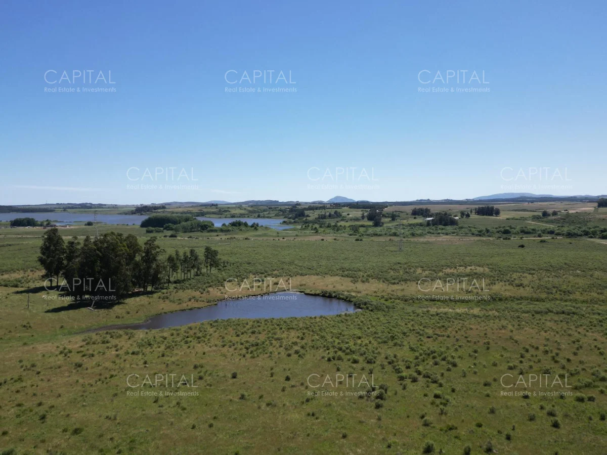 Campo en Maldonado, propiedad 278962 -Imagen 8