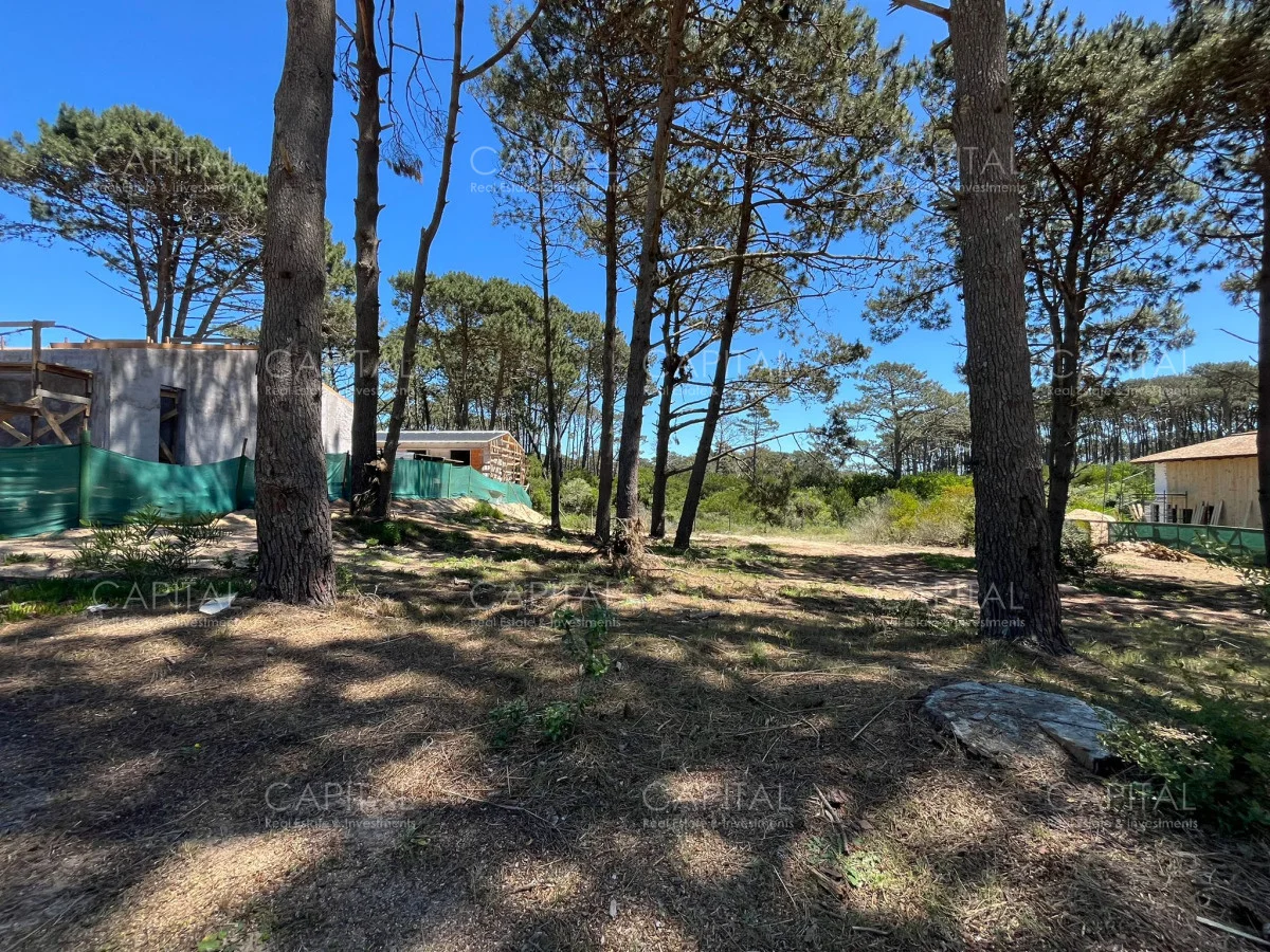 Terreno en Pinar del Faro, propiedad 278991 -Imagen 2