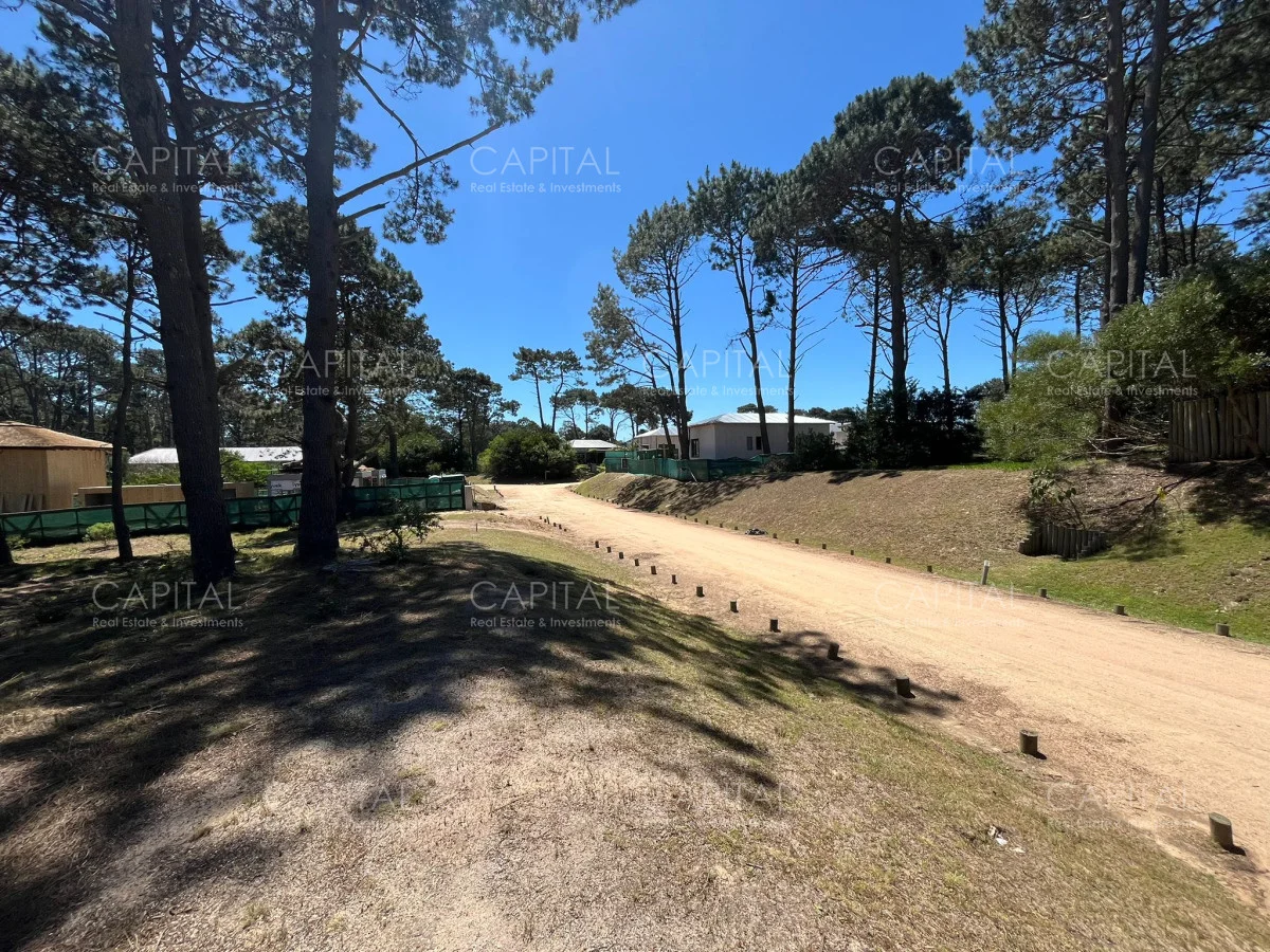 Terreno en Pinar del Faro, propiedad 278991 -Imagen 3