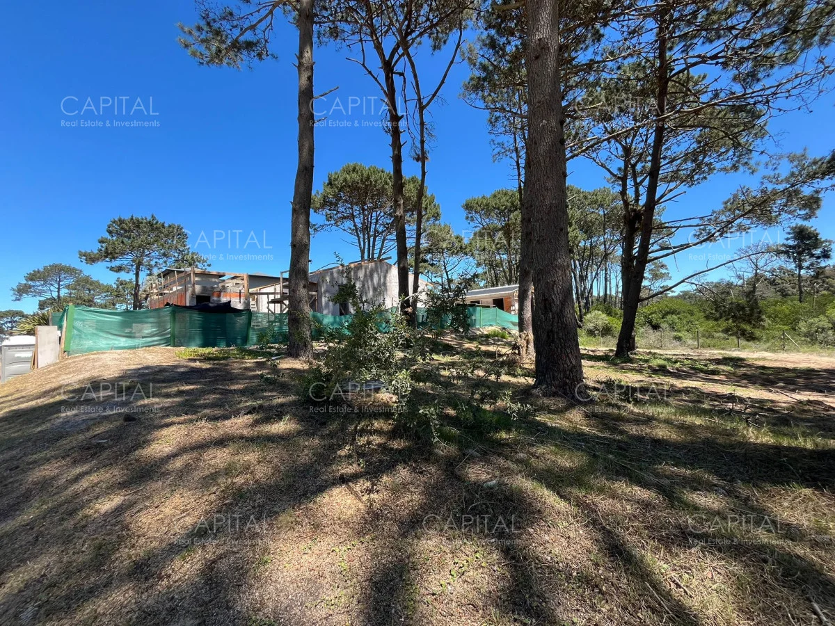 Terreno en Pinar del Faro, propiedad 278991 -Imagen 4