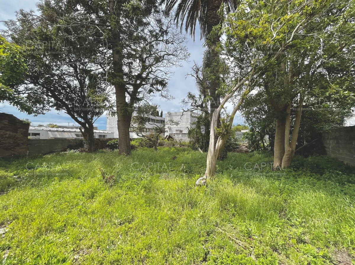 Local en Maldonado, propiedad 279030 -Imagen 6