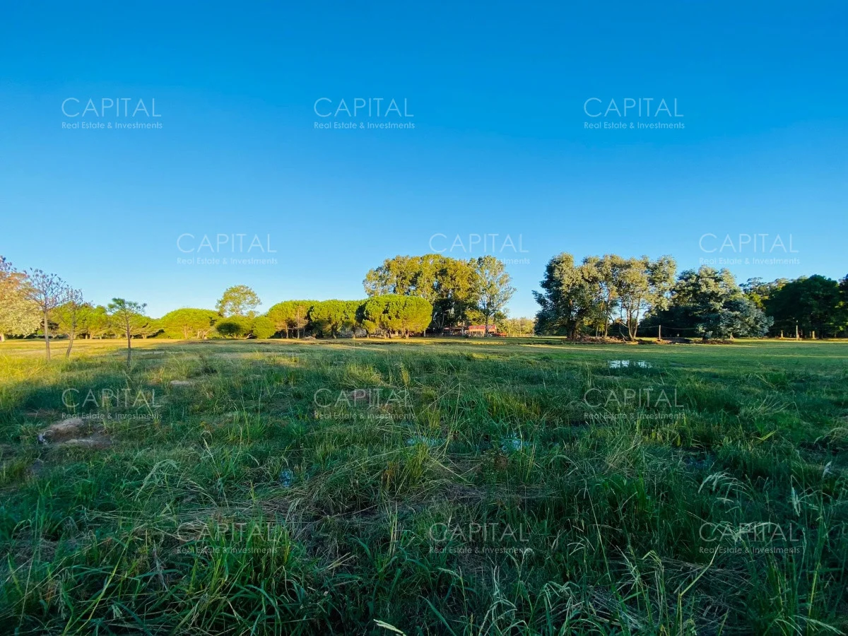 Terreno en La Barra, propiedad 279113 -Imagen 4