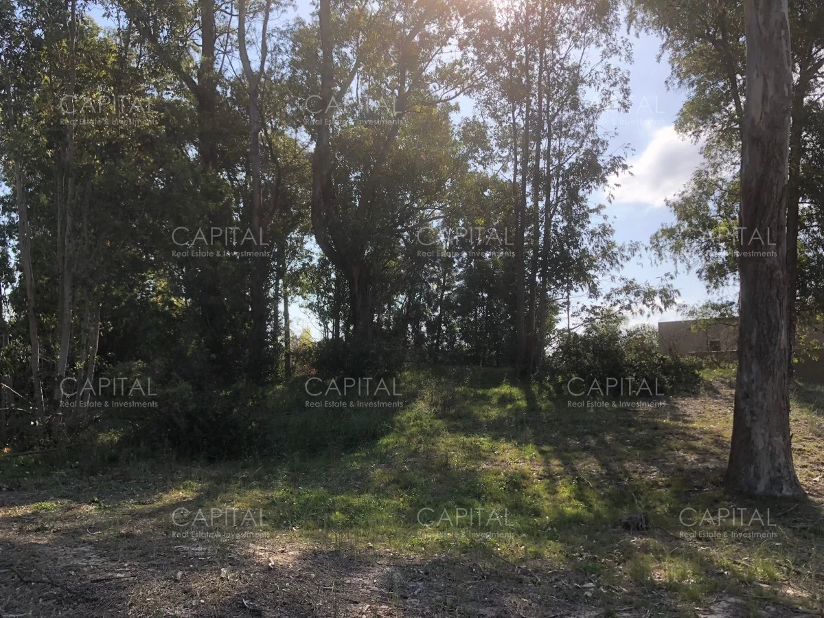 Terreno en Punta del Este, propiedad 279145 -Imagen 1
