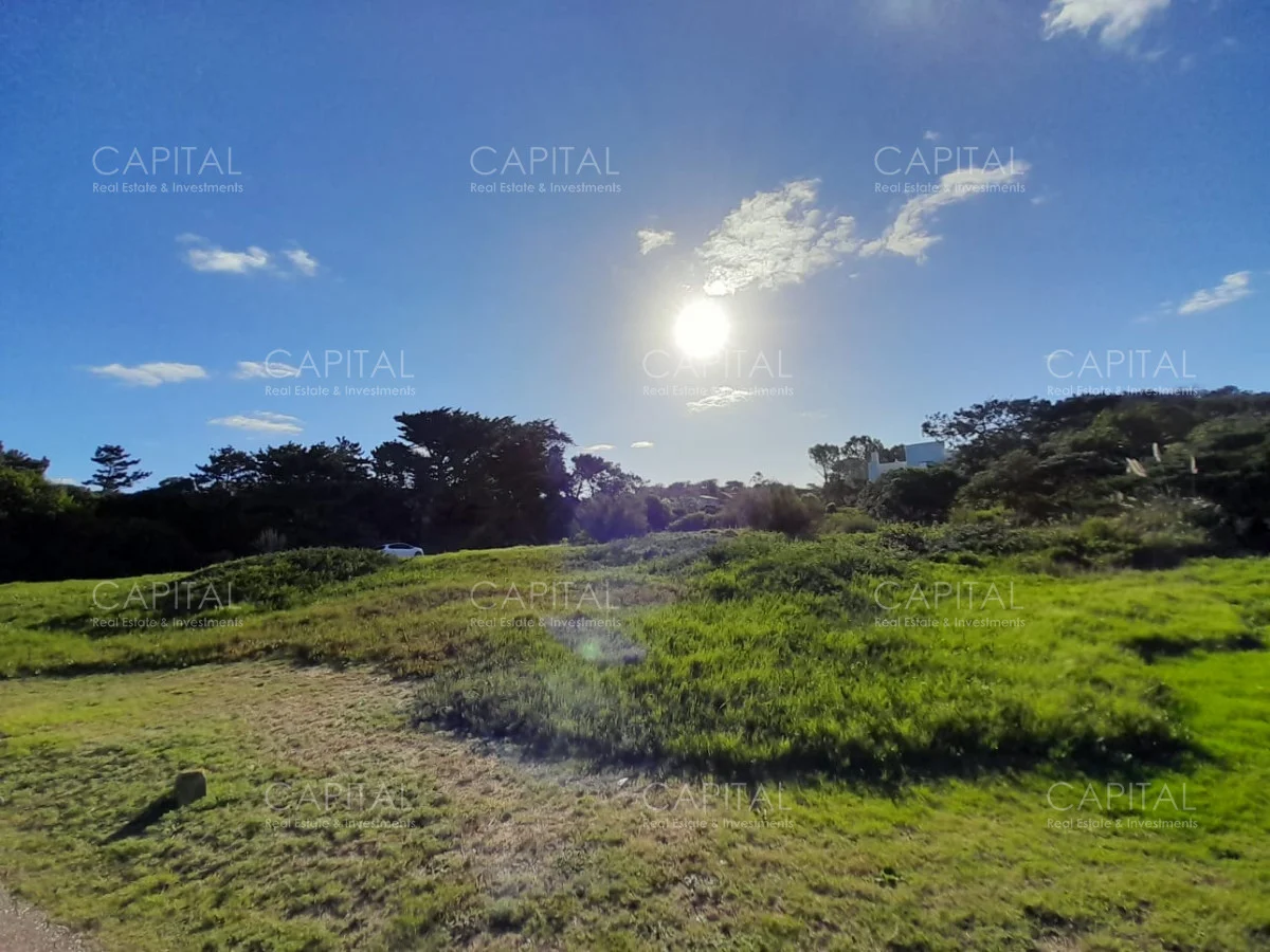Terreno en Playa Brava, propiedad 279227 -Imagen 11