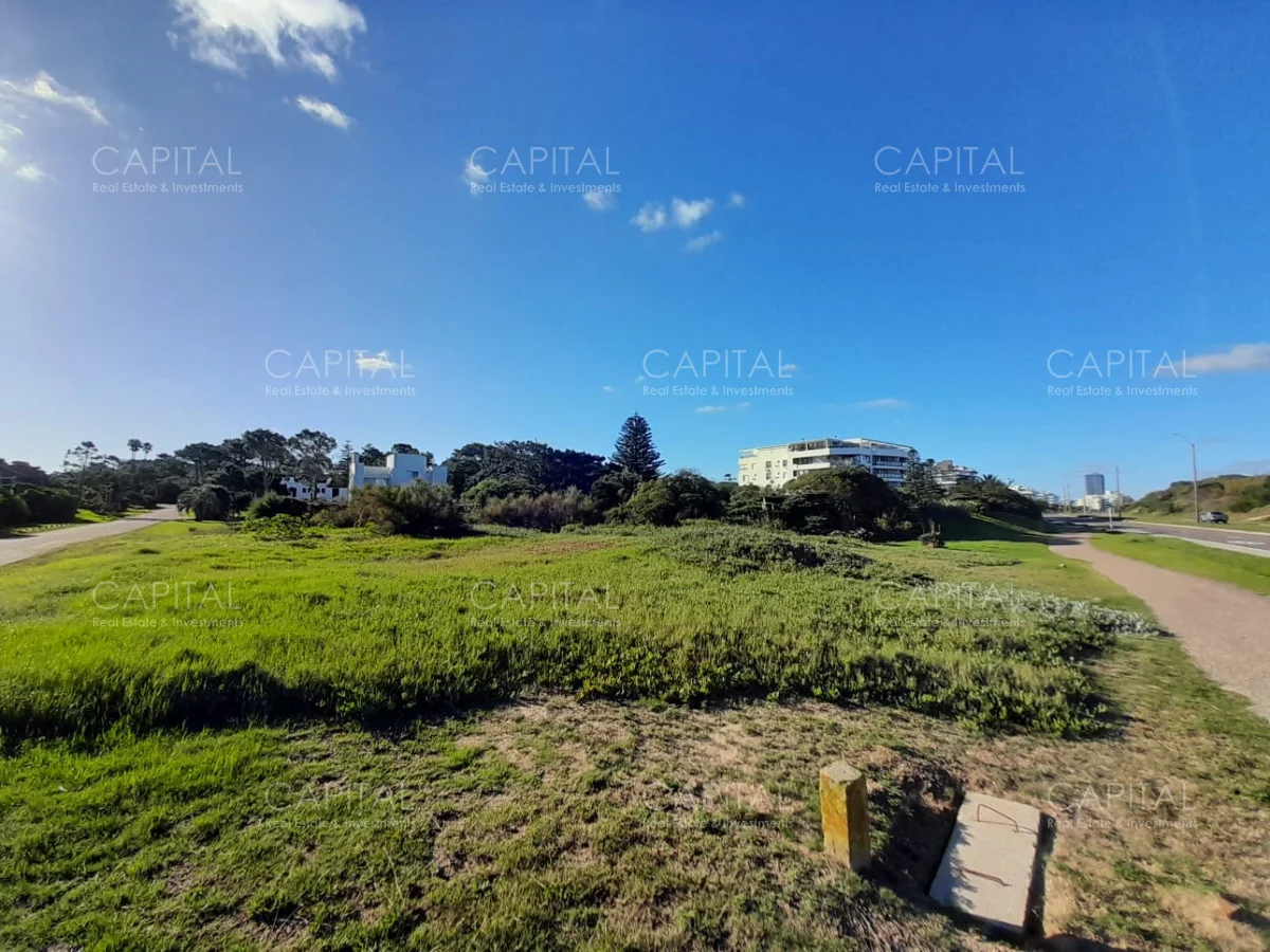 Terreno en Playa Brava, propiedad 279227 -Imagen 6