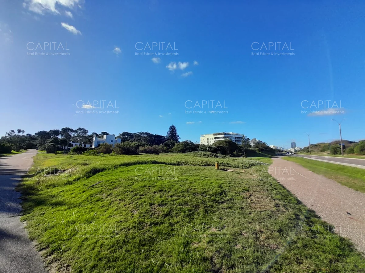 Terreno en Playa Brava, propiedad 279227 -Imagen 7