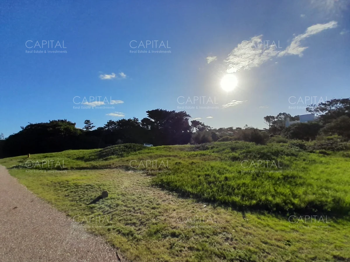 Terreno en Playa Brava, propiedad 279227 -Imagen 8