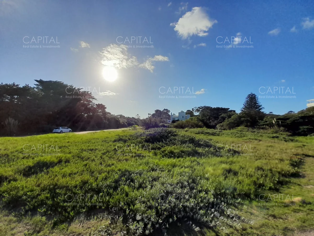 Terreno en Playa Brava, propiedad 279227 -Imagen 10
