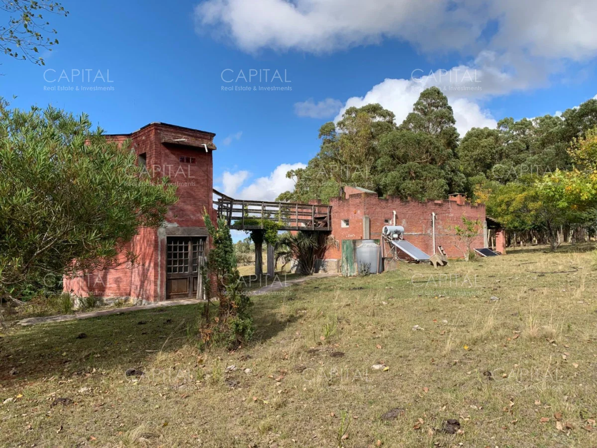 Chacra en Maldonado, propiedad 279233 -Imagen 23