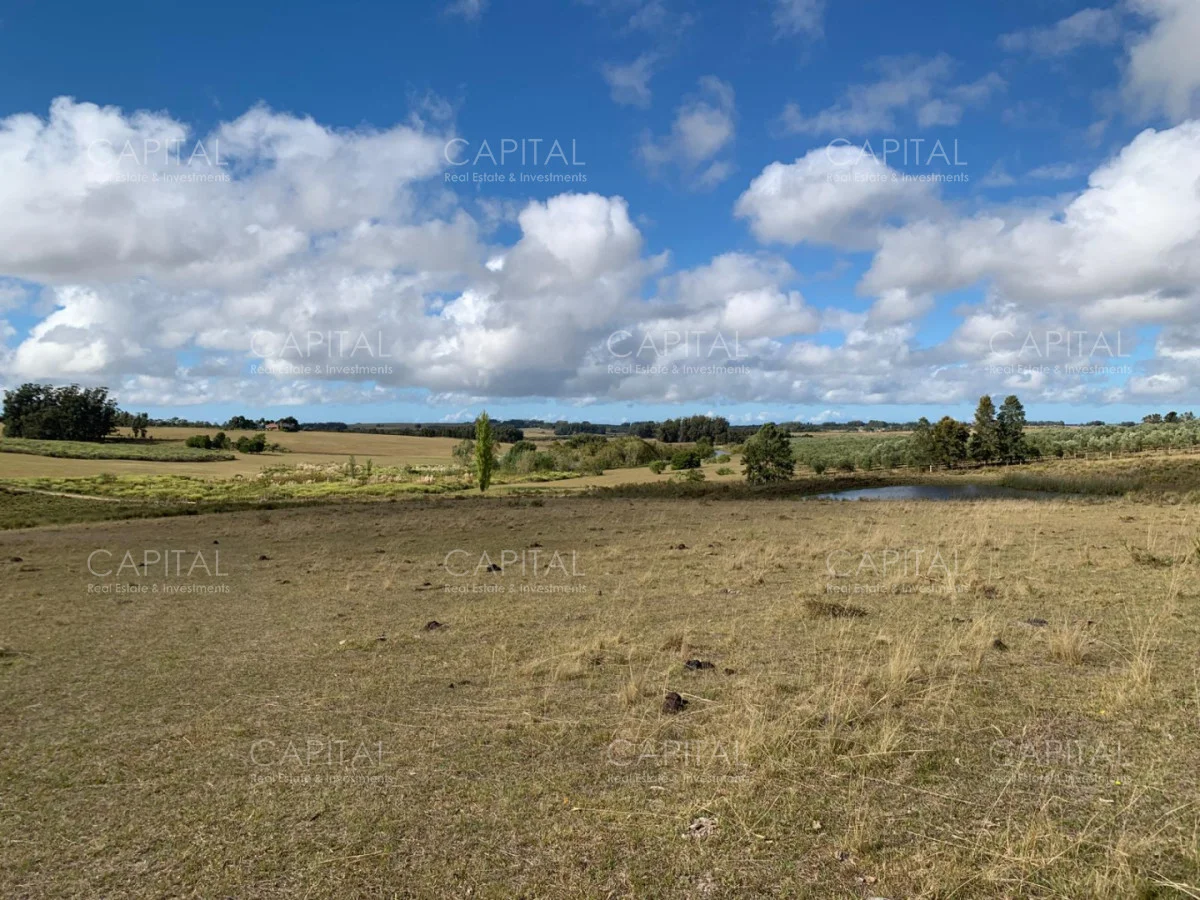 Chacra en Maldonado, propiedad 279233 -Imagen 4