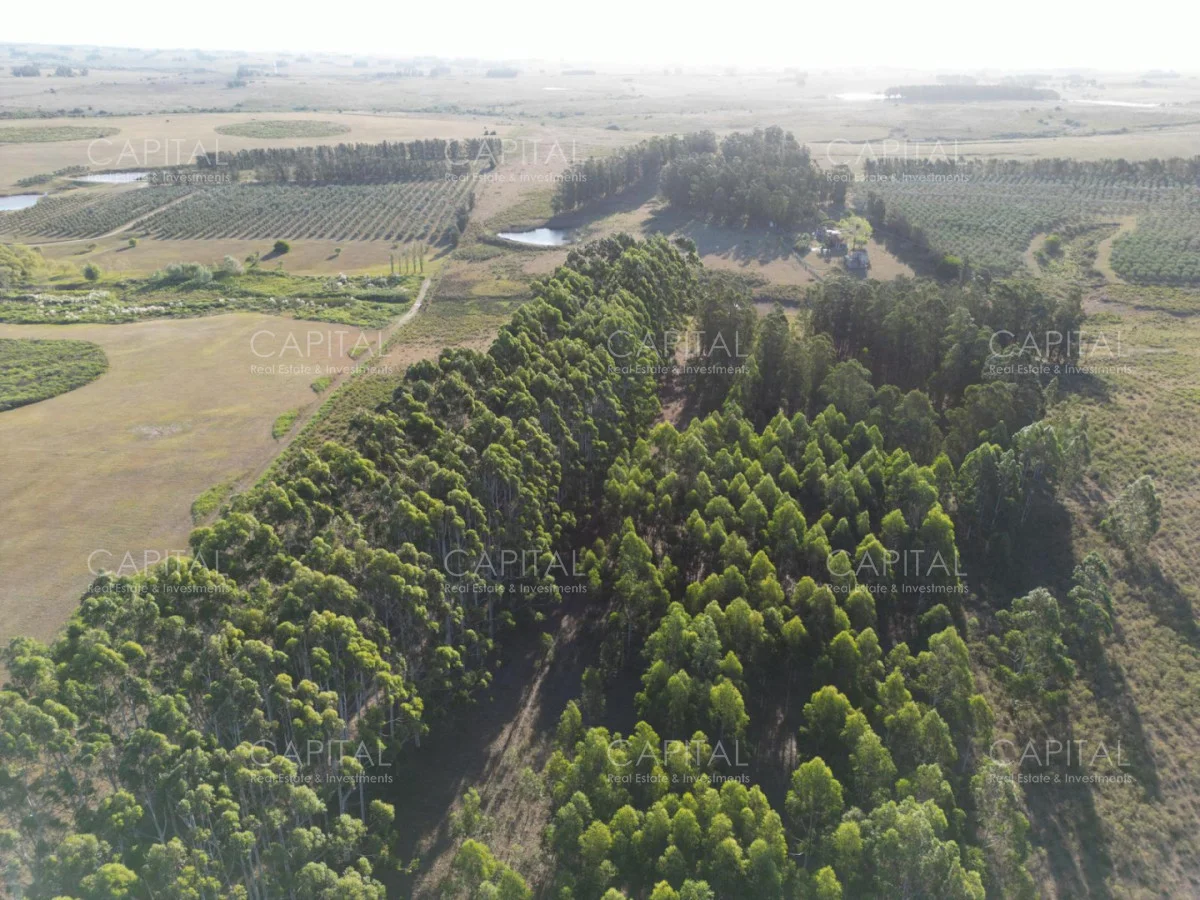 Chacra en Maldonado, propiedad 279233 -Imagen 5