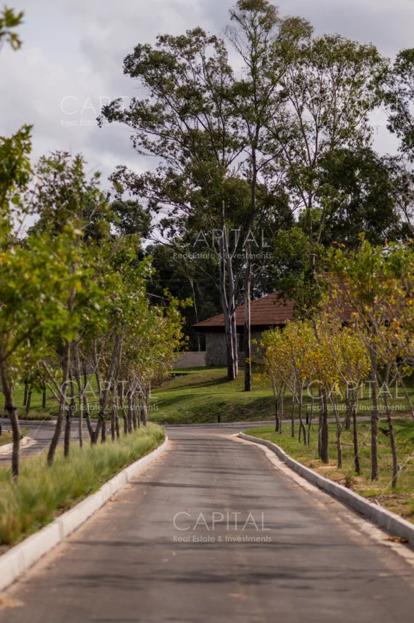 Terreno en Manantiales, propiedad 279240 -Imagen 11