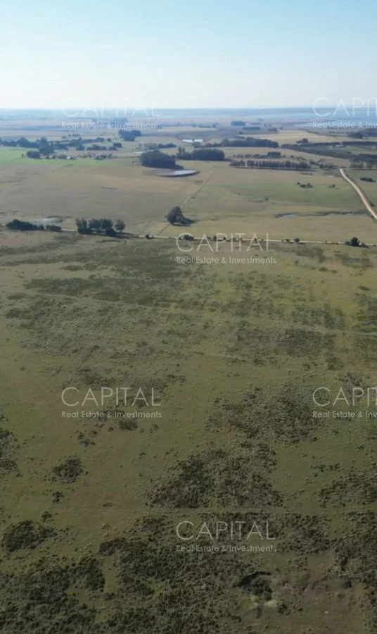 Campo en Maldonado, propiedad 279264 -Imagen 2