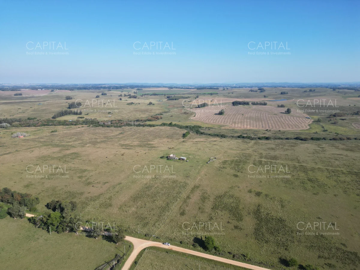 Campo en Maldonado, propiedad 279264 -Imagen 3