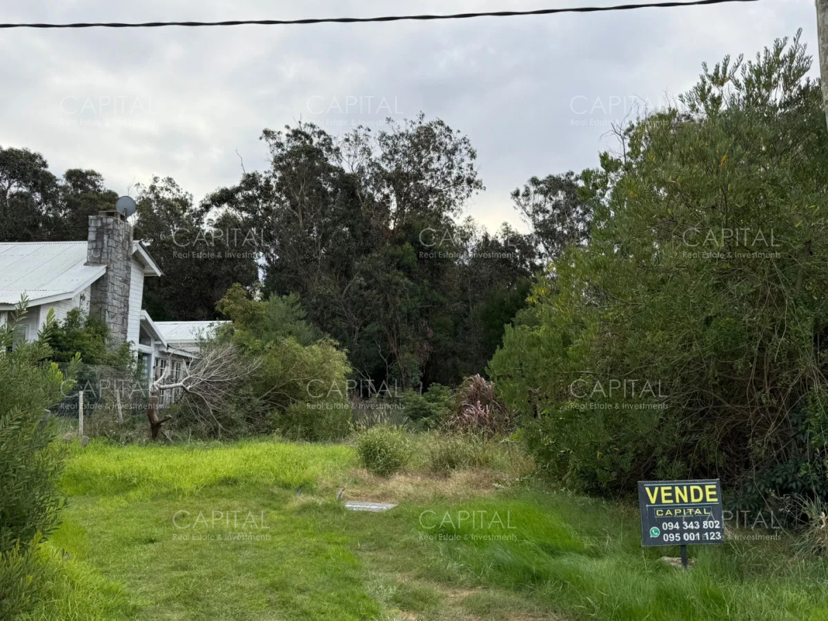Terreno en Santa Monica, propiedad 279340 -Imagen 4