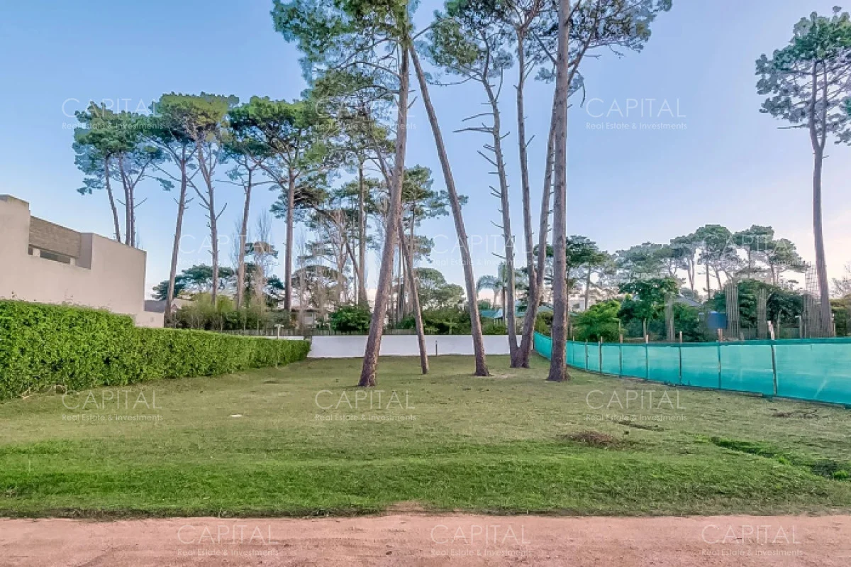 Terreno en Punta del Este, propiedad 279350 -Imagen 1