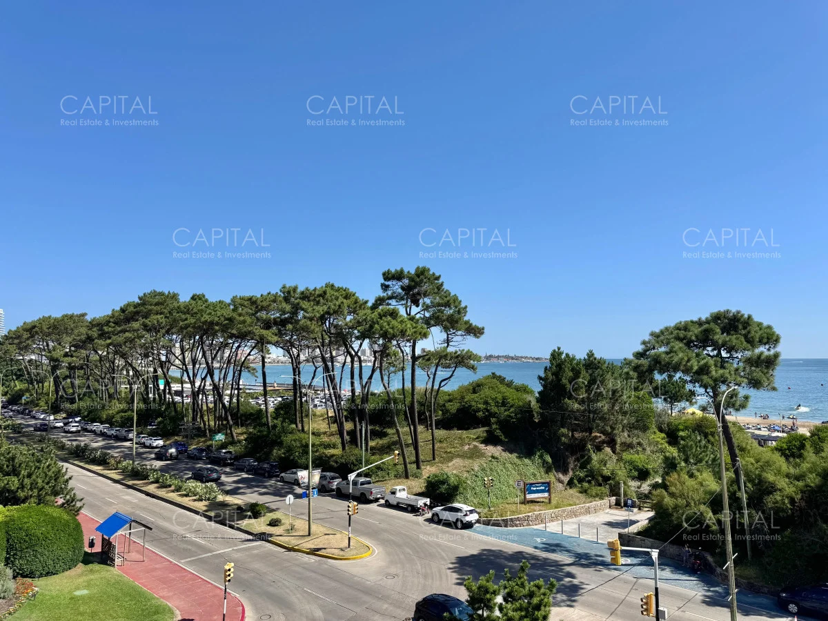 Apartamento en Playa Mansa, propiedad 279354 -Imagen 16
