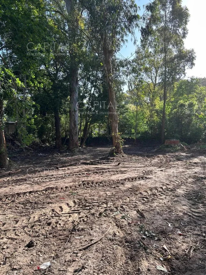 Terreno en San Rafael, propiedad 279357 -Imagen 2